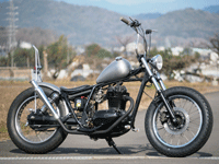 young powersports kawasaki